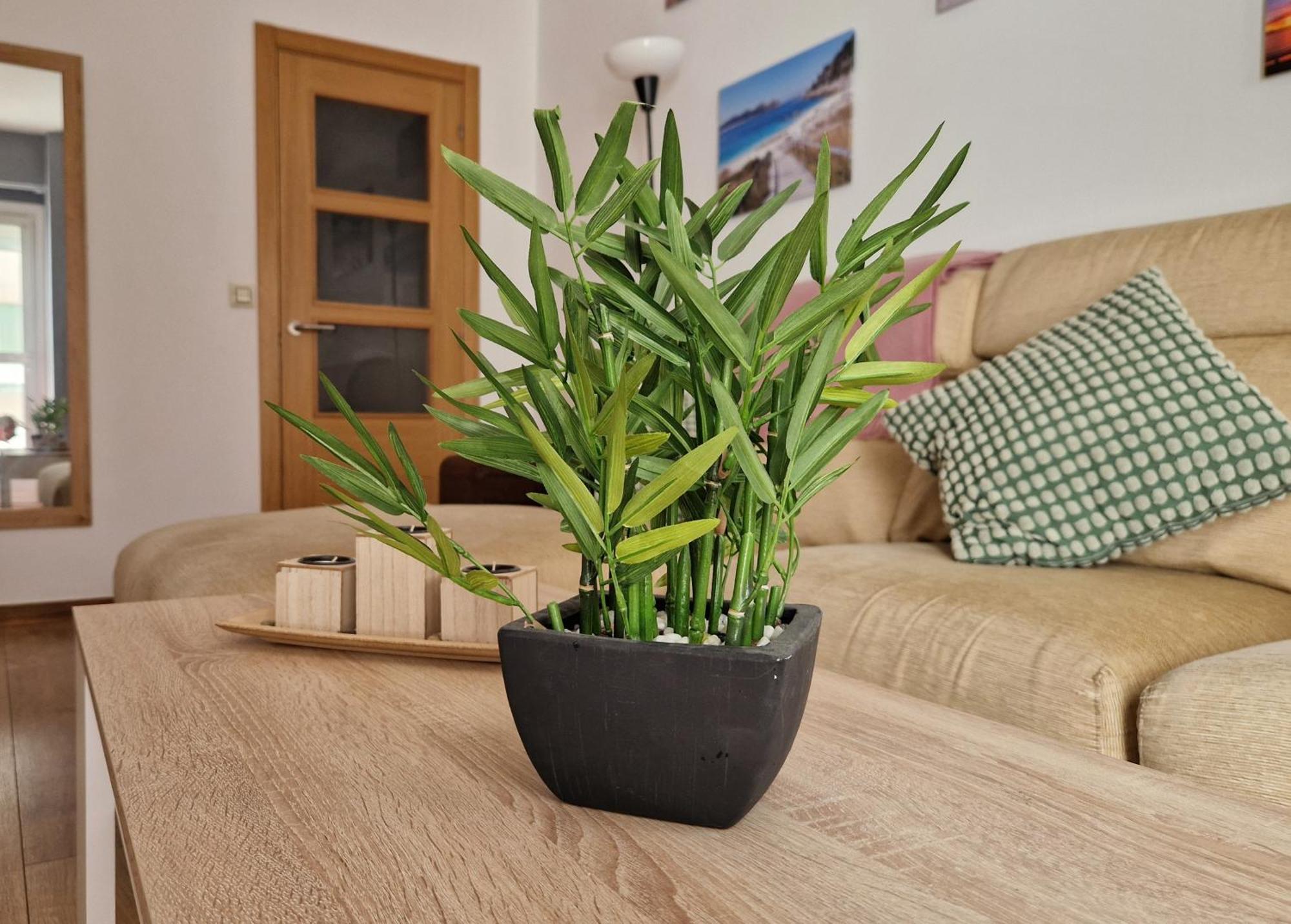Apartamento Playa Bouzas - Vigo - Parking Free Extérieur photo